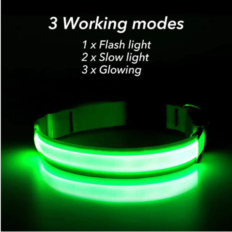 LED Adjustable Blinking Dog Collar